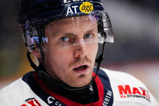Linköpings Markus Ljungh