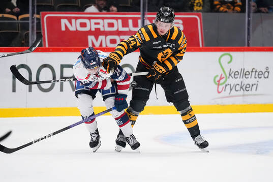 Linköpings Arvid Costmar och Skellefteås Elias Salomonsson