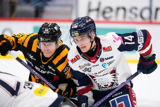 Skellefteås Rickard Hugg och Linköpings Arvid Costmar