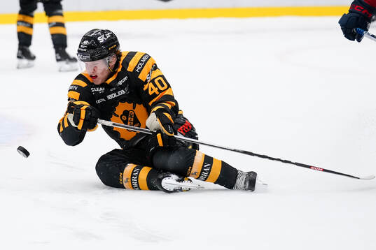 Skellefteås Anton Heikkinen