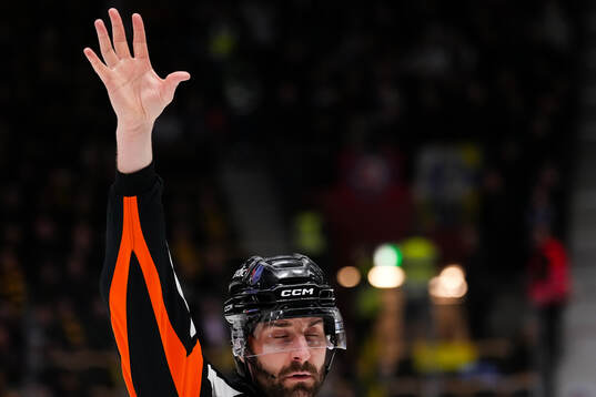 Domare Mikael Sjöqvist