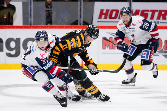 Linköpings Jesper Pettersson och Skellefteås Max Lindholm