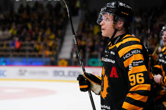 Skellefteås Rickard Hugg