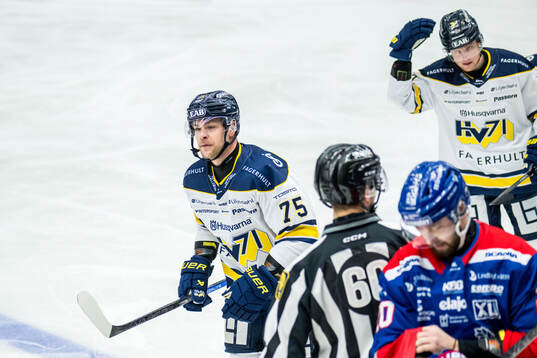 HV71s Radan Lenc jublar