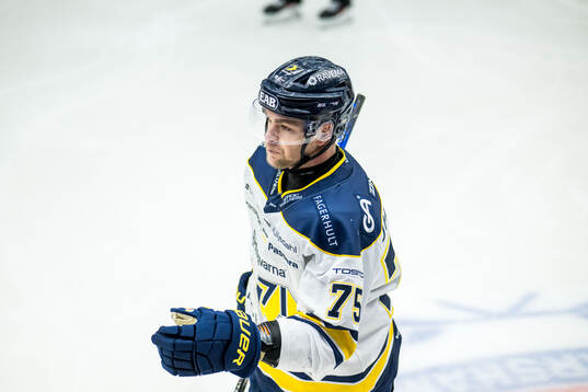 HV71s Radan Lenc jublar