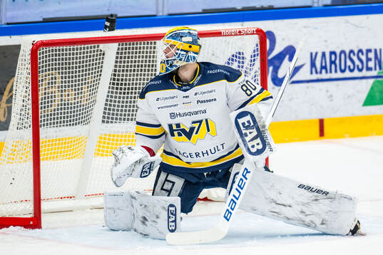 HV71s målvakt Frederik Dichow
