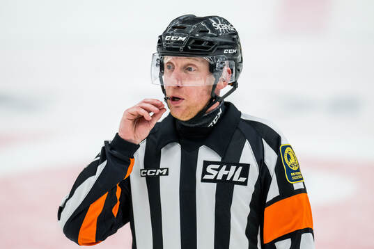 Domare Mikael Holm