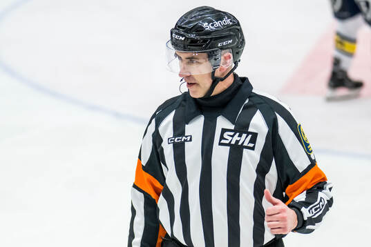 Domare Linus Öhlund