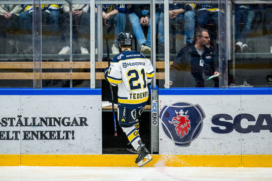 HV71s Mattias Tedenby
