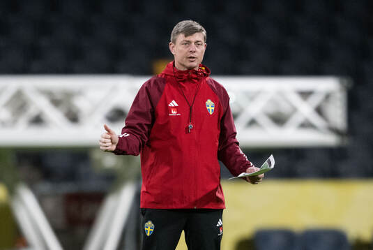 Head coach Jon Dahl Tomasson of Sweden of the Swedish men's