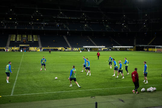 Players of the Swedish men's national football team