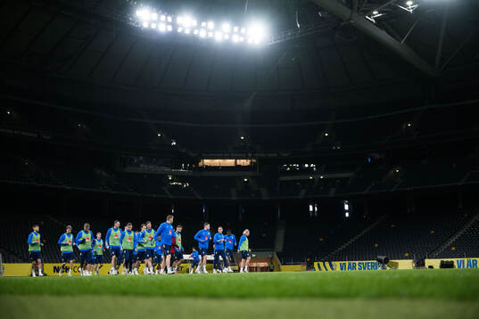Players of the Swedish men's national football team