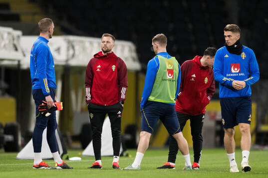 Assistant coach Sebastian Larsson of Sweden of the Swedish