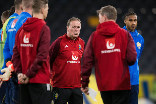 Assistant coach Remy Reijnierse of Sweden of the Swedish
