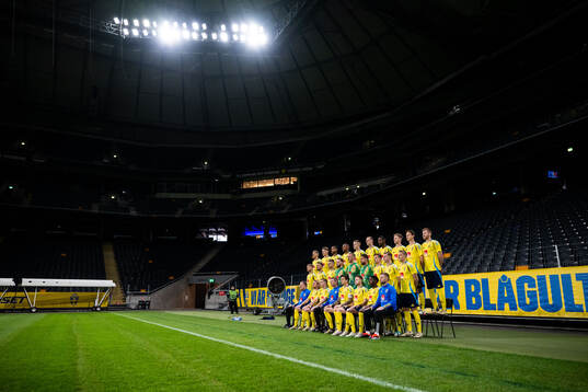 Players of the Swedish national football team