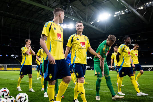 Emil Holm and Mattias Svanberg of the Swedish national