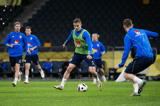 Of the Swedish men's national football team