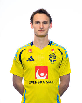 Hjalmar Ekdal of the Swedish men's national football team
