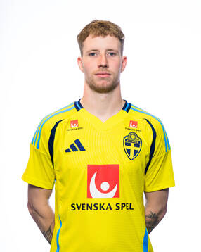 Samuel Gustafson of the Swedish men's national football
