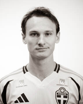 Hjalmar Ekdal of the Swedish men's national football team