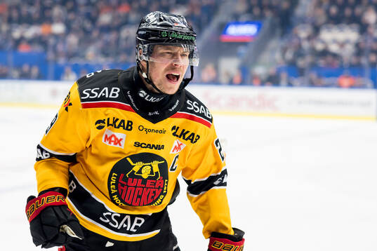 Luleås Erik Gustafsson jublar