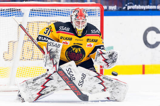 Luleås målvakt Matteus Ward