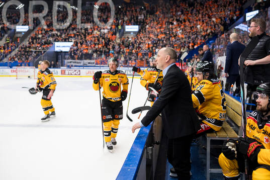 Luleås tränare Thomas Berglund reagerar