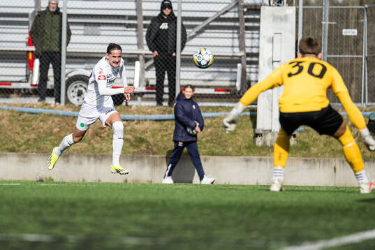 Helsingborgs Ervin Gigovic