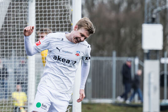 Helsingborgs William Westerlund