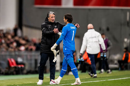 Goalkeeper Yann Sommer and Head coach Murat Yakin of