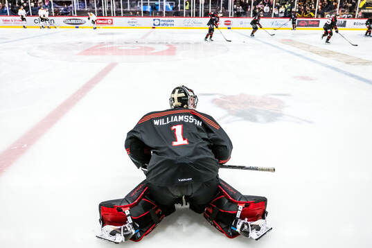 Nybros målvakt Tex Williamsson