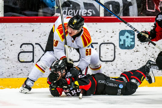 Brynäs Karlis Cukste