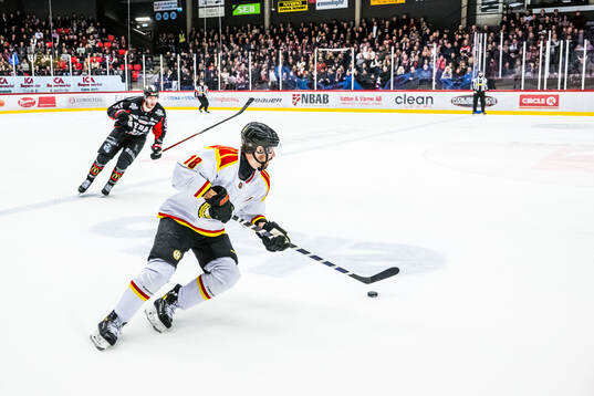 Brynäs Anton Rödin