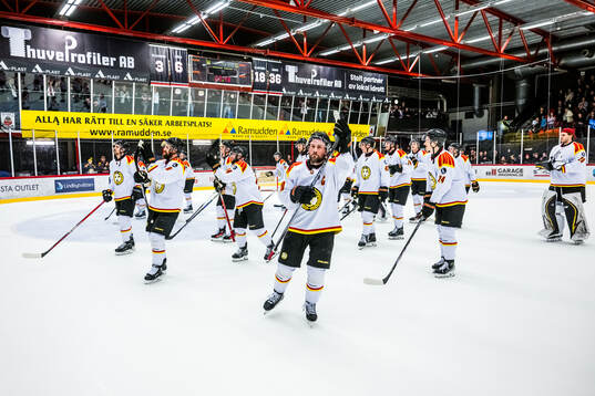 Brynäs jublar