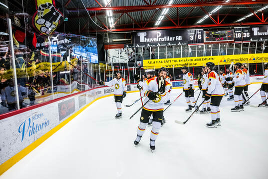 Brynäs jublar