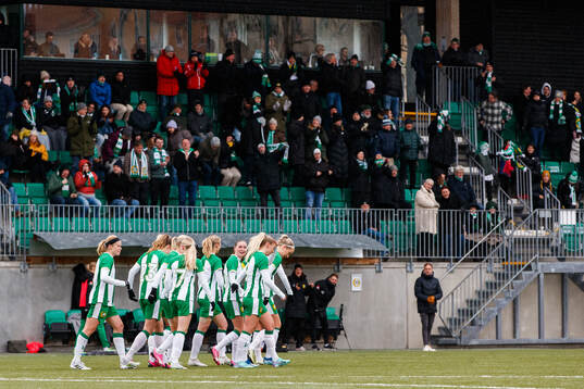 Hammarbys spelare jublar