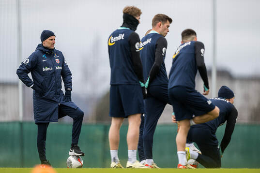 Ståle Solbakken, head coach of the Norwegian national