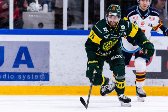 Björklövens Sakke Hämäläinen