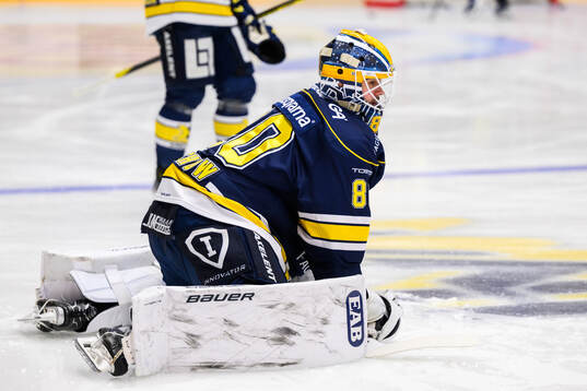 HV71s målvakt Frederik Dichow