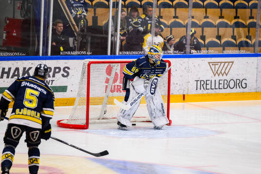 HV71s målvakt Frederik Dichow