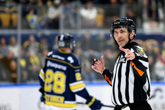 Domare Linus Öhlund