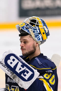 HV71s målvakt Frederik Dichow