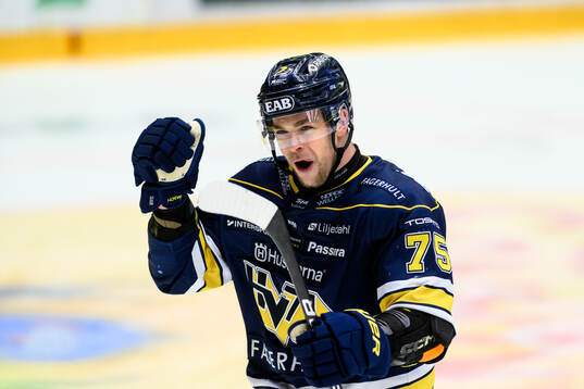 HV71s Radan Lenc jublar