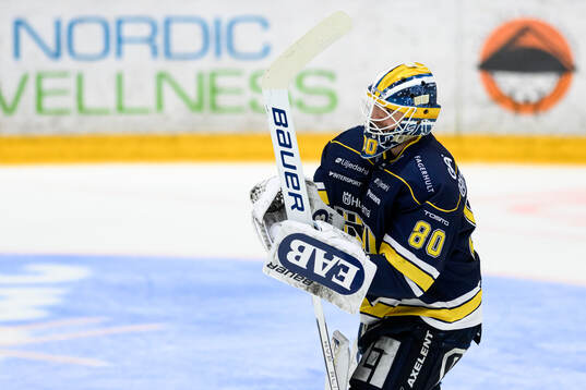 HV71s målvakt Frederik Dichow  jublar
