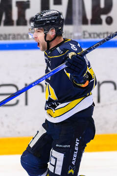 HV71s Radan Lenc jublar