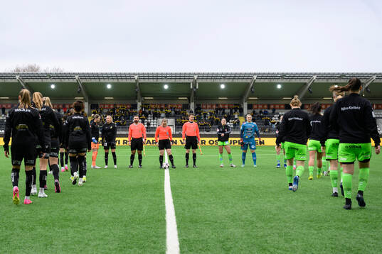 Dommartrion bestående av assisterande domare Viktor