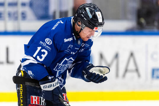 Karlskogas Hampus Plato