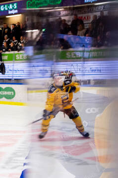 under kvartsfinal fyra i Hockeyallsvenskan mellan Karlskoga