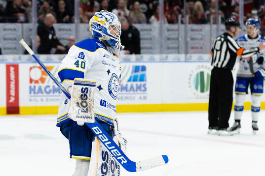 Leksands målvakt Mantas Armalis deppar
