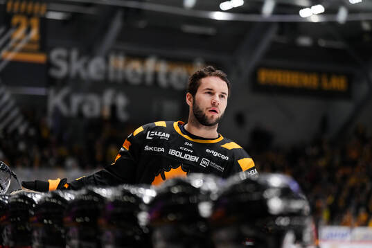 Skellefteås Martins Dzierkals